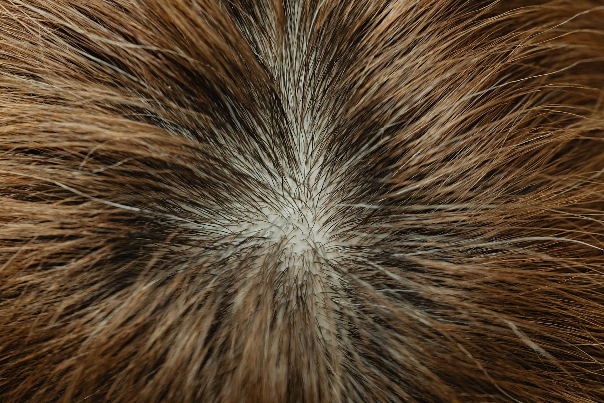 Come Riequilibrare il pH del Cuoio Capelluto per la Crescita dei Capelli in 10 Giorni