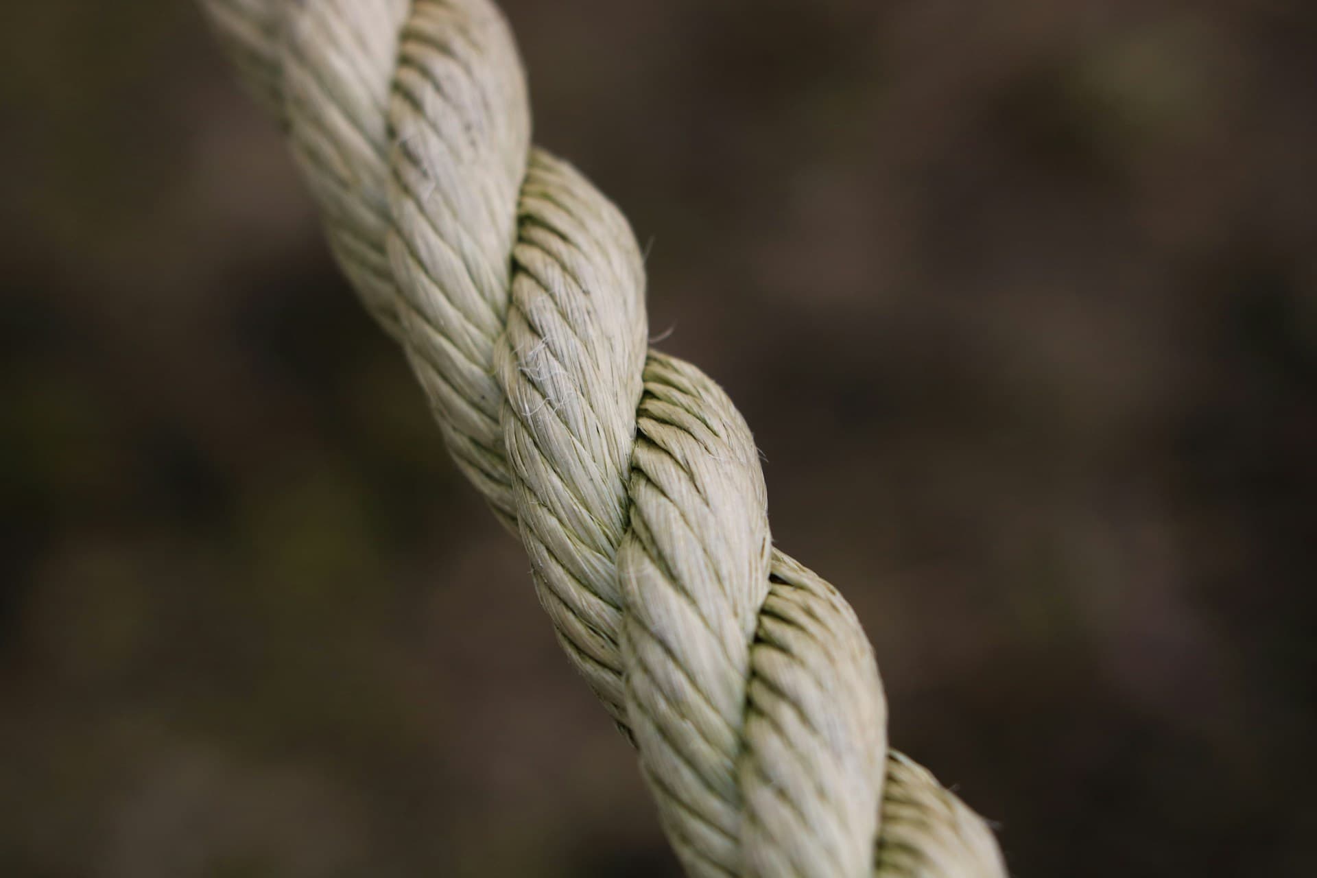 Come Fermare la Rottura dei Capelli in 7 Giorni (Il Metodo Proteine-Idratazione che Funziona Davvero)